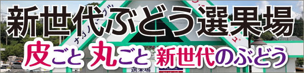 新世代ぶどう選果場HPへ